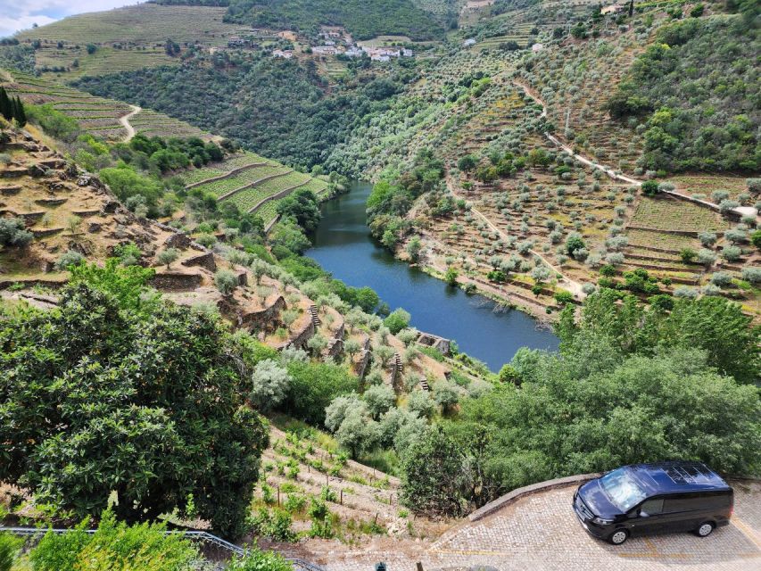 From Peso Da Régua: Visit 3 Wineries, Tasting and Viewpoint - Optional Lunch Experience