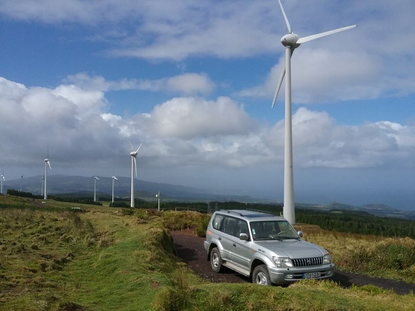 From Ponta Delgada: Nordeste 4x4 Guided Day Trip & Lunch - Habitat and Endemic Species