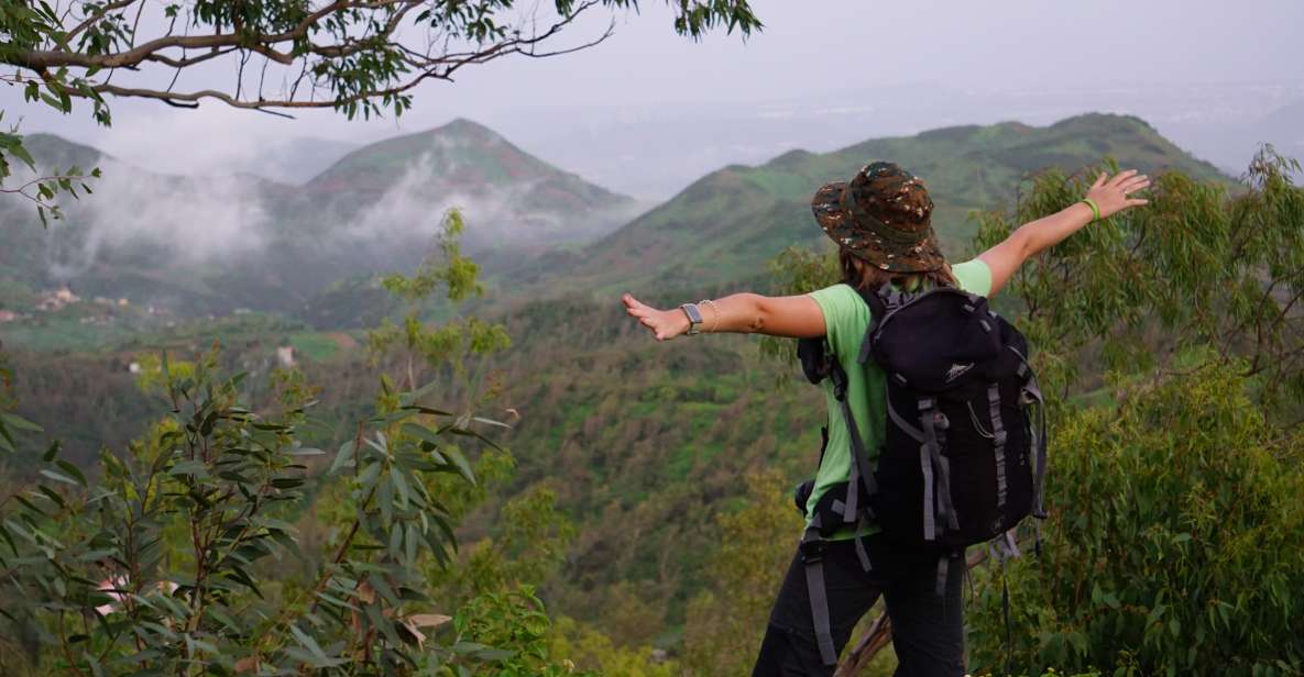 From Ponta Do Sol: Full-Day Nature Hike With a Guide - Recap