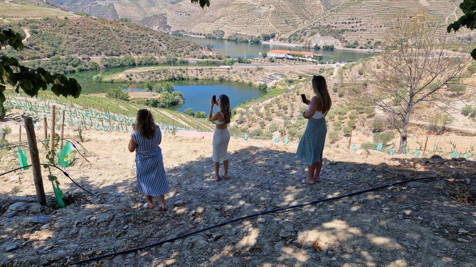 From Porto Douro Valley Tour With Train and Vinho Verde - Douro River Boat Cruise