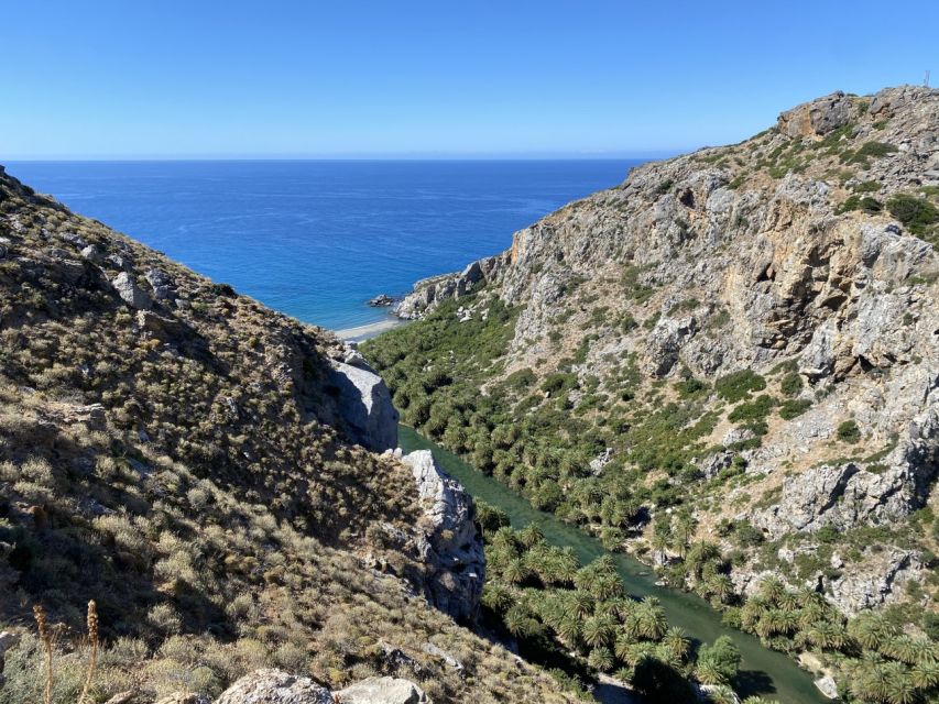 From Rethymno: Preveli Palm Forest Hike and Beach Day Trip - Swimming at Preveli Beach