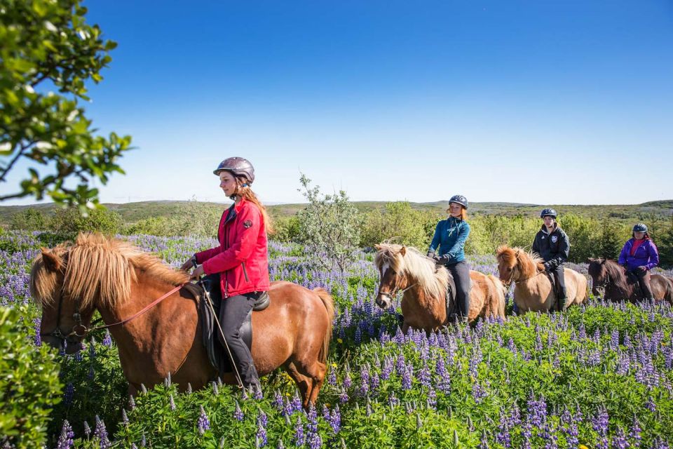 From Reykjavík: Viking Horseback Tour in Hafnarfjörður - Learning Icelandic Horse Gaits