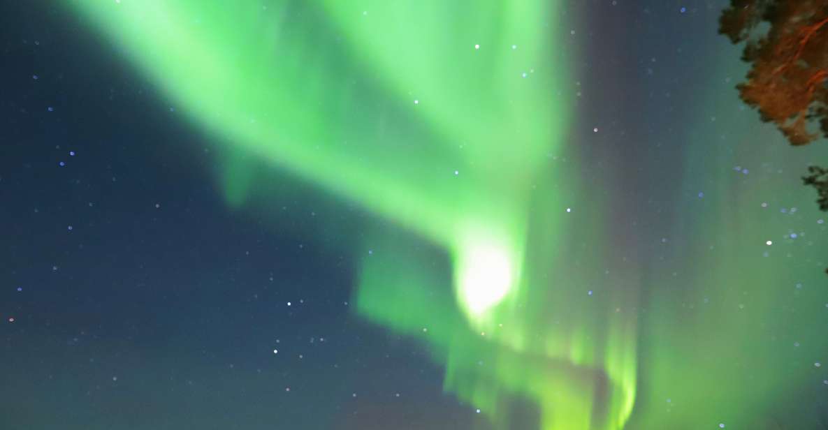 From Rovaniemi: Aurora Borealis Trip in Lapland Lakeside - Lappish Campfire and Refreshments