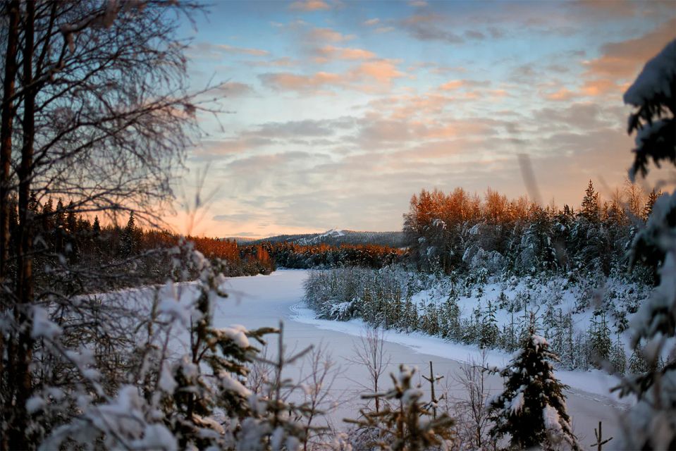 From Rovaniemi: Vikaköngas Forest Hiking Tour With BBQ - Tour Highlights