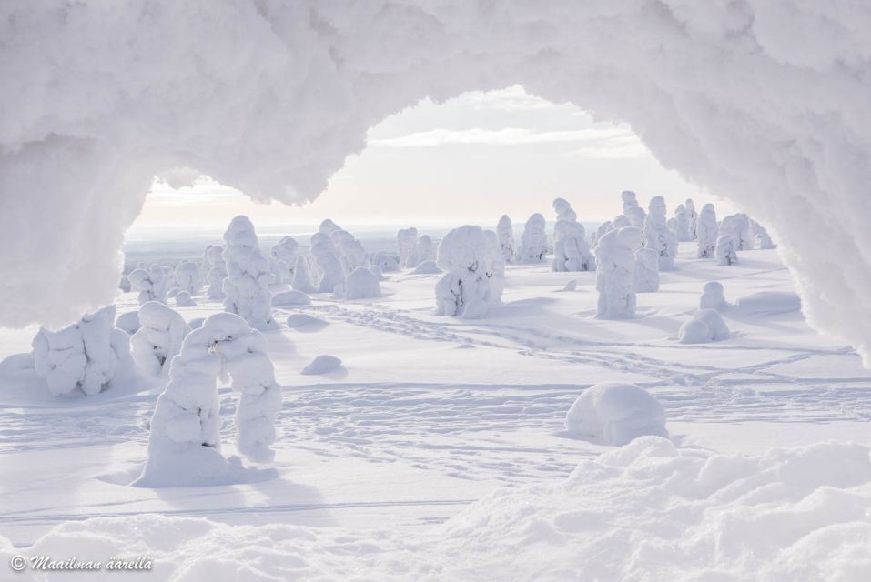 From Rovaniemi: Winter Wonderland Hike With a Hot Drink - Languages Offered