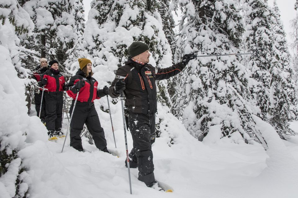 From Ruka: Snowshoeing in Oulanka National Park - Exploring Oulanka National Park