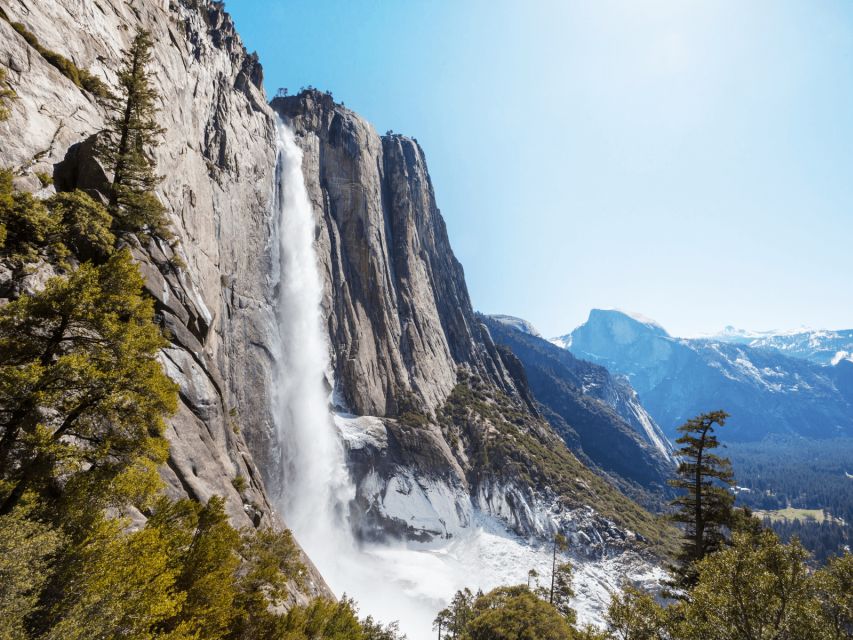 From San Francisco: Yosemite National Park Private Day Tour - Guided Bus Tour