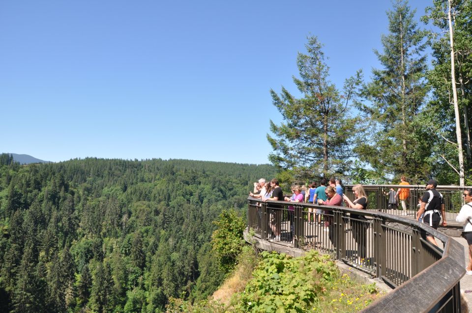 From Seattle: Snoqualmie Falls and Wineries Tour W/ Transfer - Woodinville Wineries