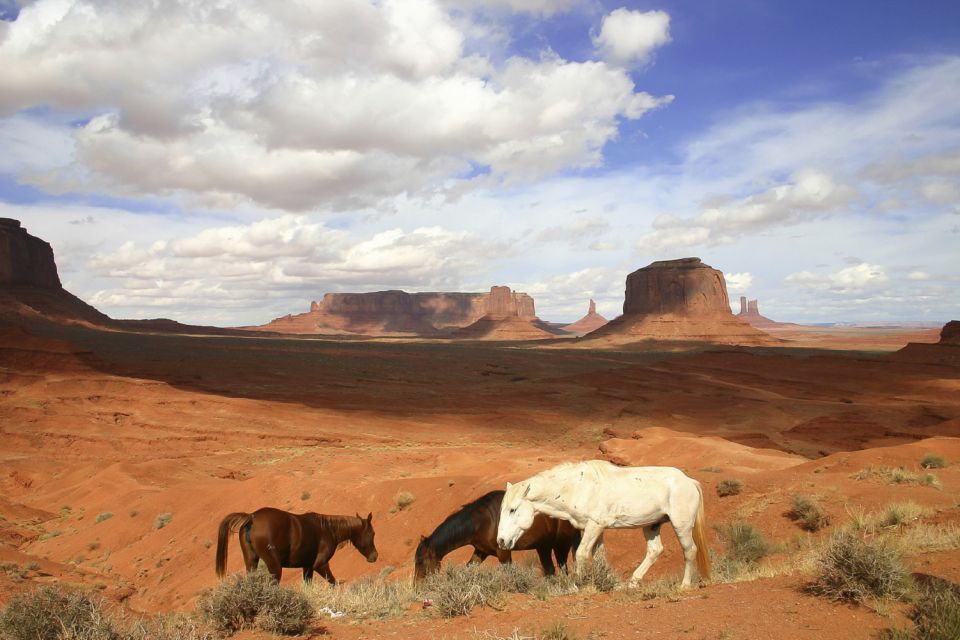 From Sedona or Flagstaff: Full-Day Monument Valley Tour - Frequently Asked Questions