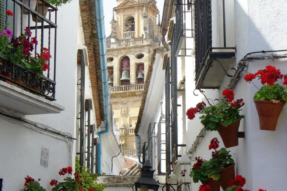 From Seville: Córdoba and Mosque Cathedral Full-Day Tour - Inclusions and Requirements