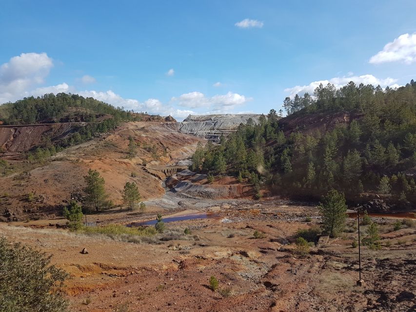 From Seville: Full-Day Aracena & Rio Tinto Mines Tour - Group Size Choices