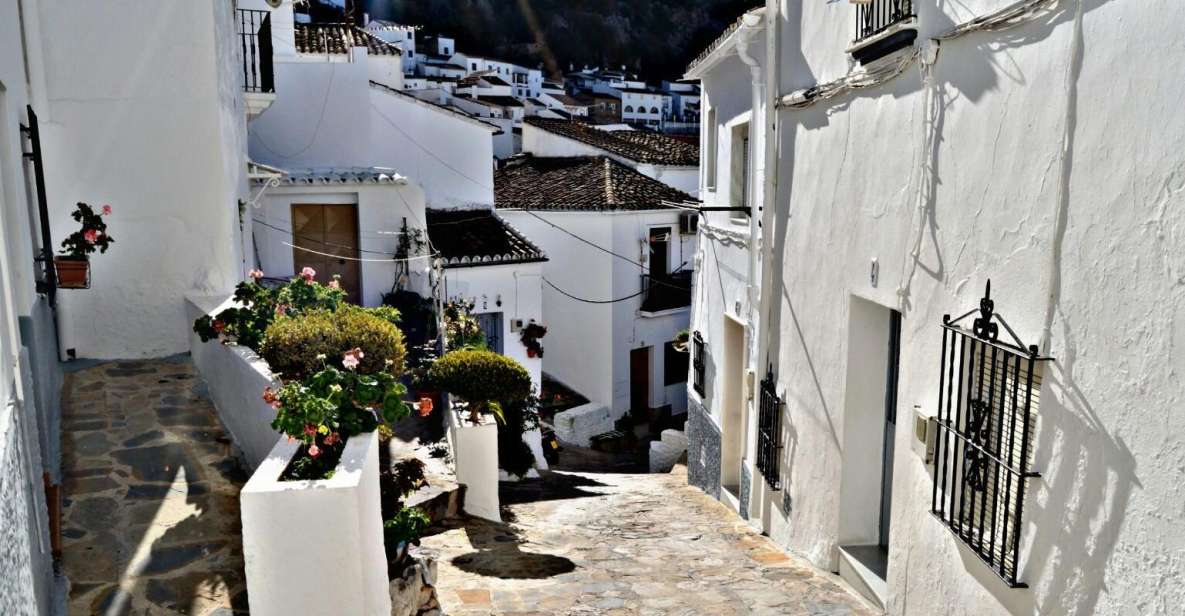 From Seville: White Villages Tour - Discovering the Charm of Ronda