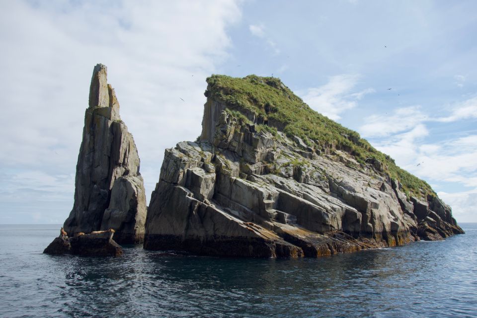 From Seward: Kenai Fjords National Park Cruise With Lunch - Catering and Refreshments Included