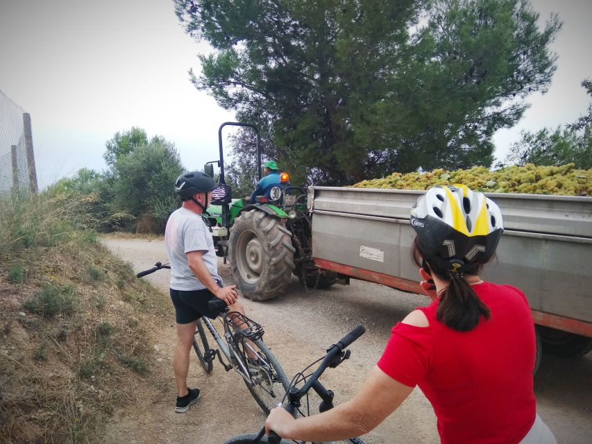 From Sitges: Cycling Tour With Winery Visit and Tasting - Participant Guidelines