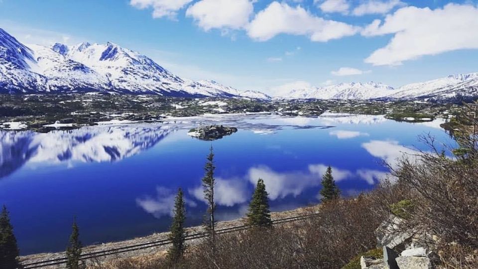 From Skagway: White Pass and Yukon Suspension Bridge Tour - Important Information