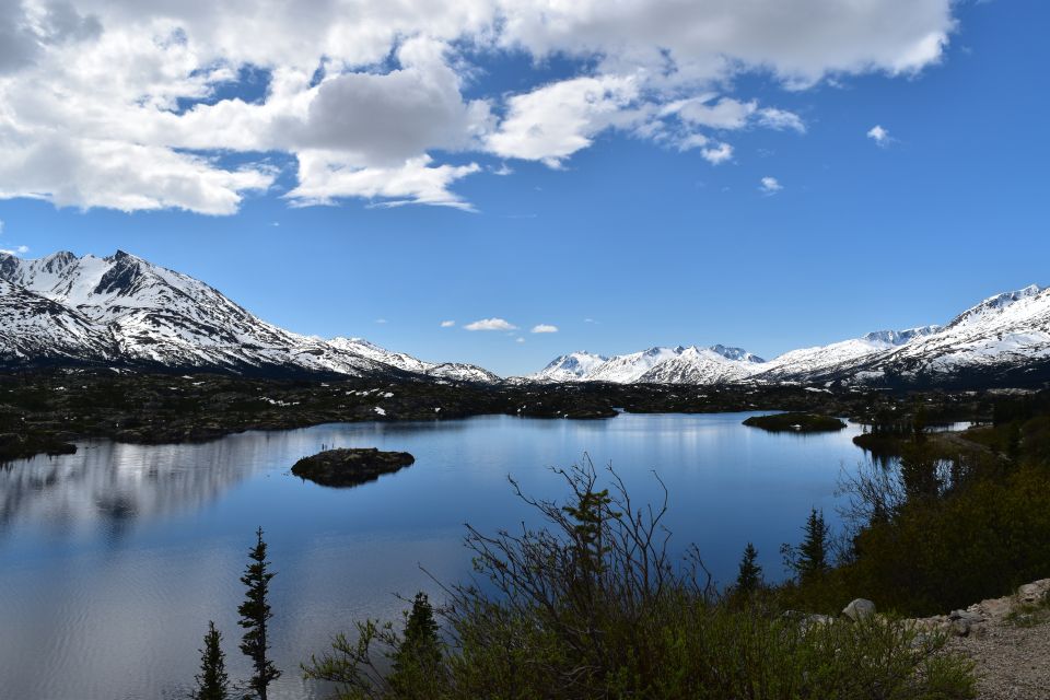 From Skagway: White Pass Summit Guided Bus Tour - Transportation and Pickup