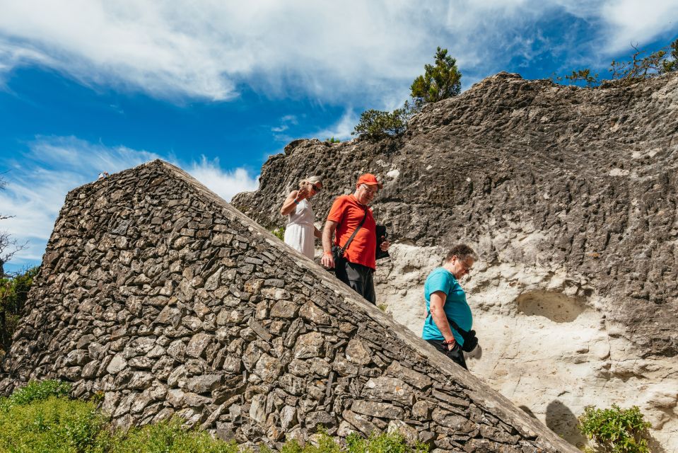 From South Tenerife: La Gomera Island Day Trip With Lunch - Important Information