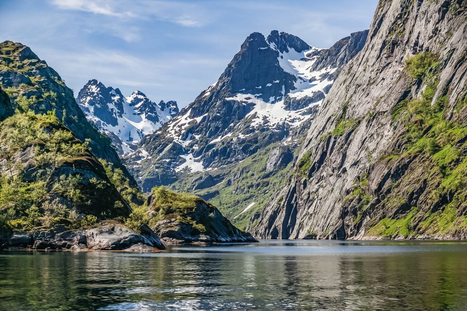 From Svolvær: Lofoten Islands Silent Trollfjord Cruise - Wildlife Sightings