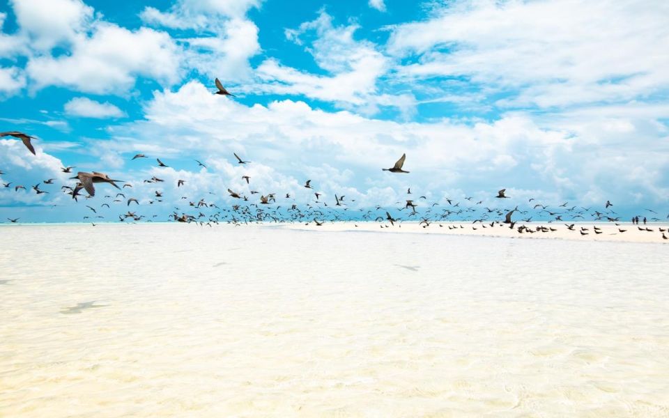 From Tahiti: Tetiaroa Island Tour by Sailing Catamaran - Lunch and Island Exploration