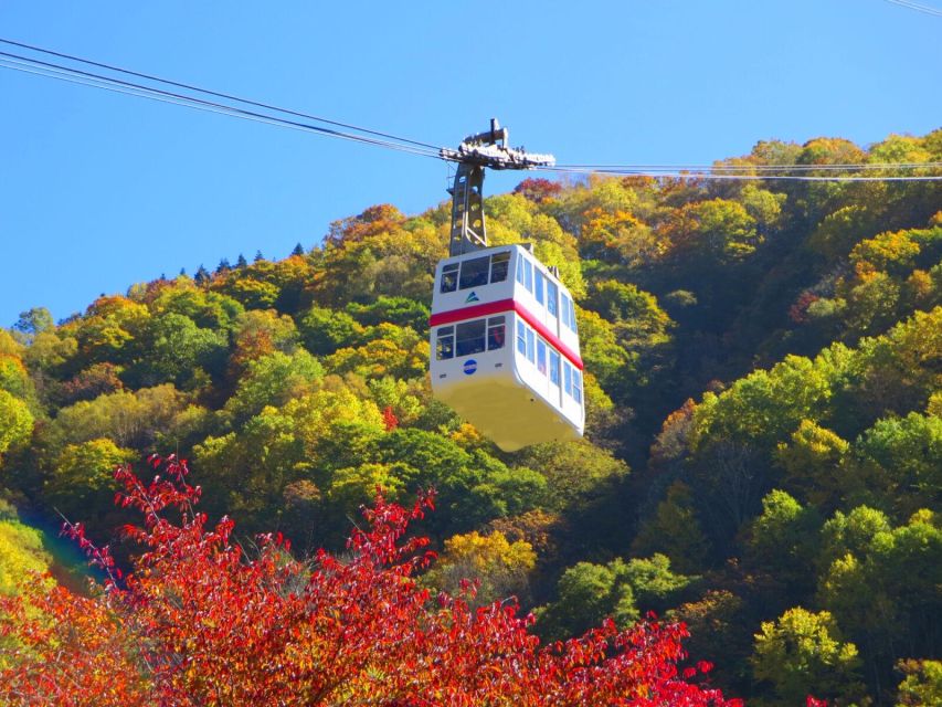 From Takayama: Shinhotaka Ropeway and Kamikochi Tour - Transportation and Inclusions