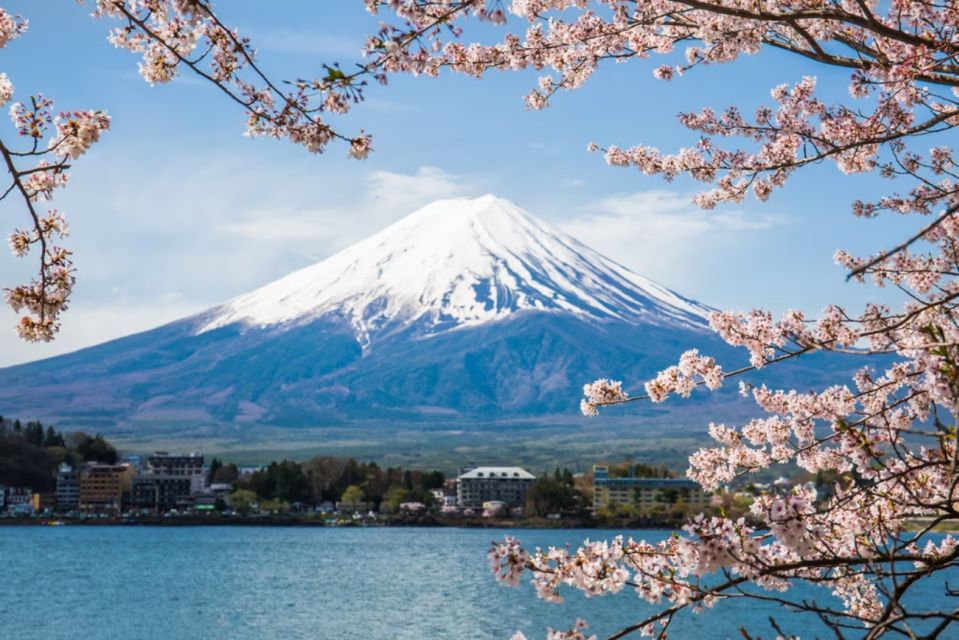 From Tokyo: 10-hour Mount Fuji Private Customizable Tour - Group Size and Seating