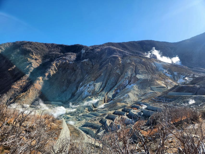 From Tokyo : Hakone Onsen , Nature and Art Day Tour - Volcanic Wonders