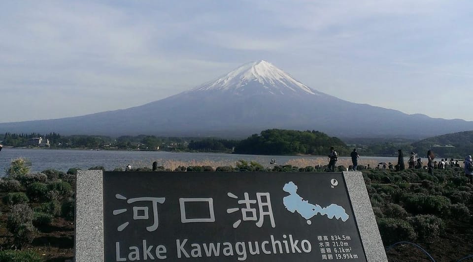 From Tokyo: Mount Fuji Day Tour With English Speaking Driver - Driver and Language Options