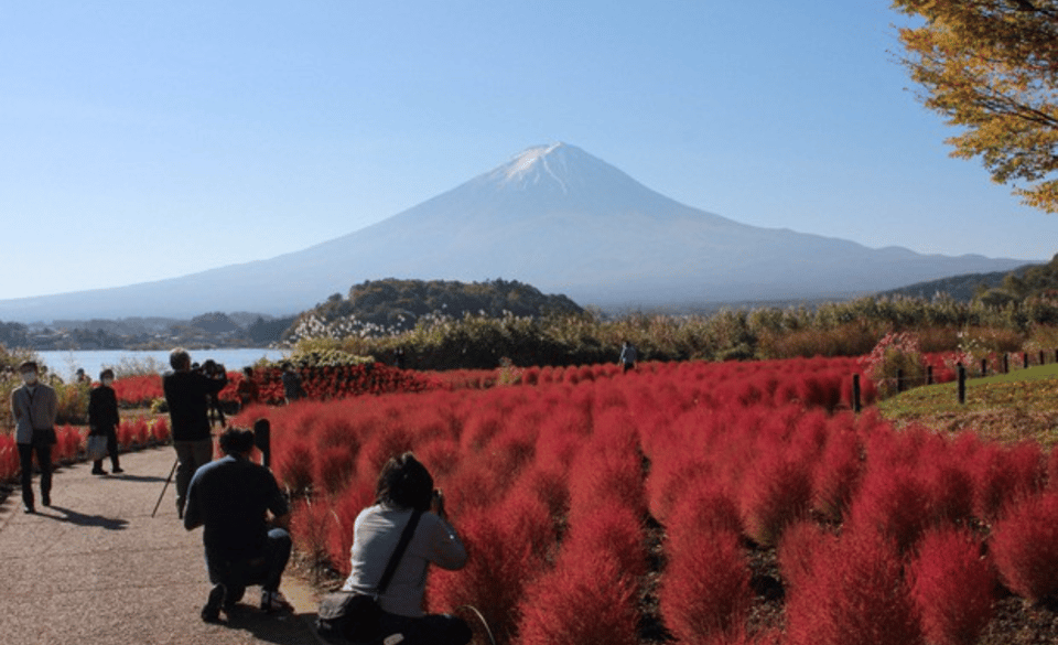 From Tokyo: Mount Fuji Private Sightseeing Day Trip - Cancellation Policy