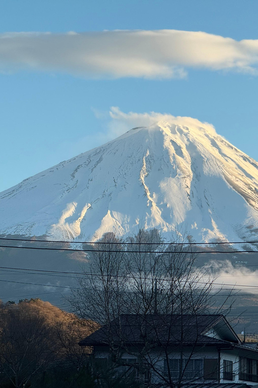 From Tokyo: Mount Fuji Private Tour(English Speaking Driver) - Inclusions and Optional Fees