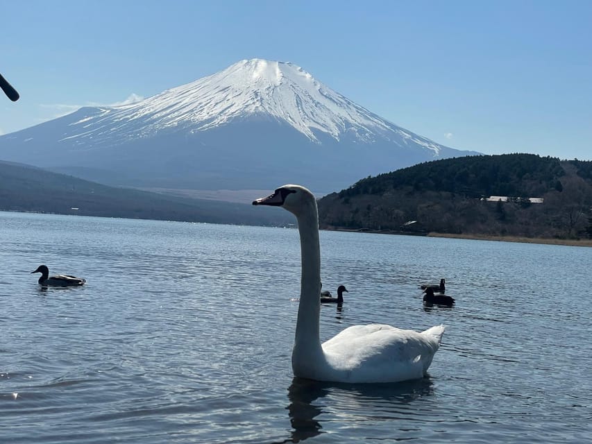 From Tokyo: Mt. Fuji Highlights Customizable Private Tour - Customer Experience and Reviews