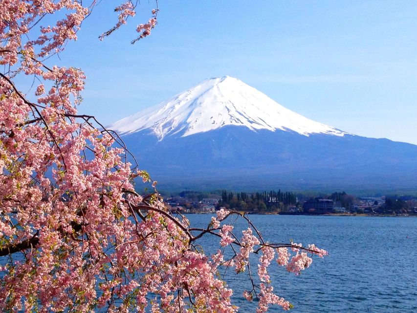 From Tokyo: Mt. Fuji or Hakone Private Sightseeing Day Trip - Hakone Itinerary