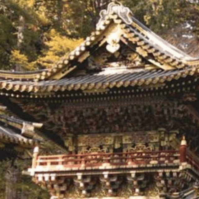 From Tokyo; Nikko Private Full Day Tour Hotel Pick-Up By Car - Included Services