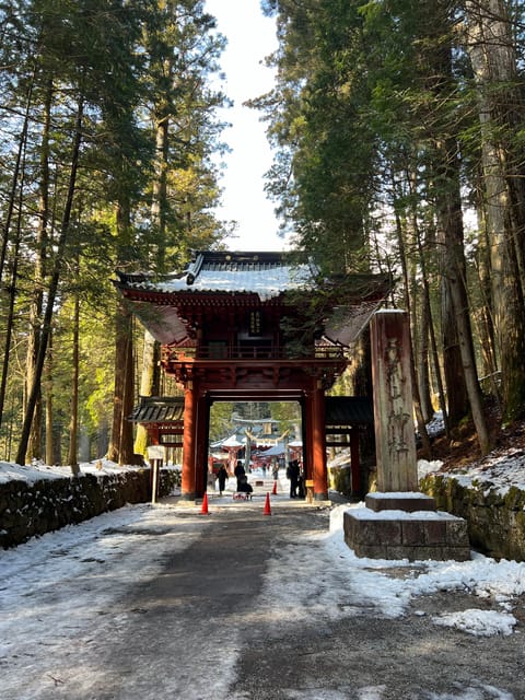 From Tokyo: Private Nikko World Heritage Sights Day Trip - Customer Reviews and Feedback