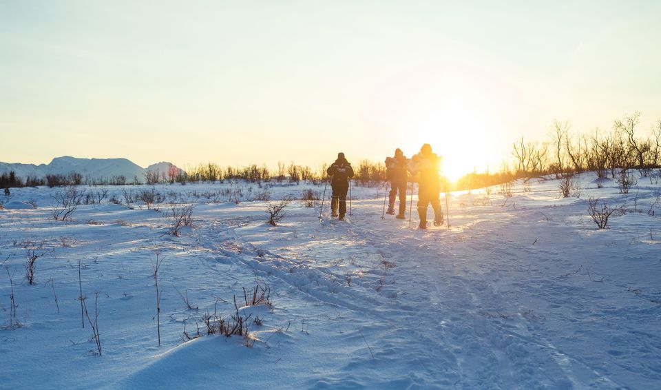 From Tromsø: Guided Husky Snowshoe Hike and Husky Camp Visit - Kvaløya: Norways Fourth Largest