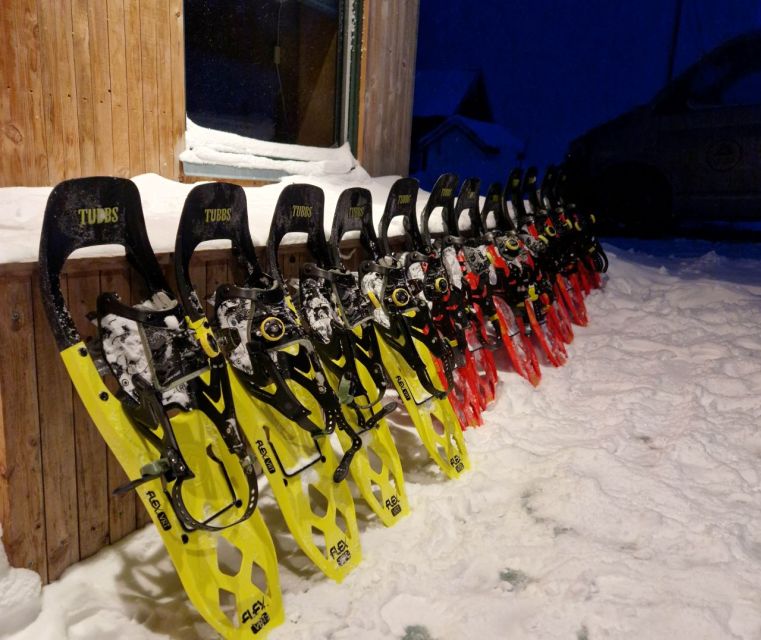 From Tromsø: Snowshoe Hike in the Arctic - Observing Local Arctic Wildlife