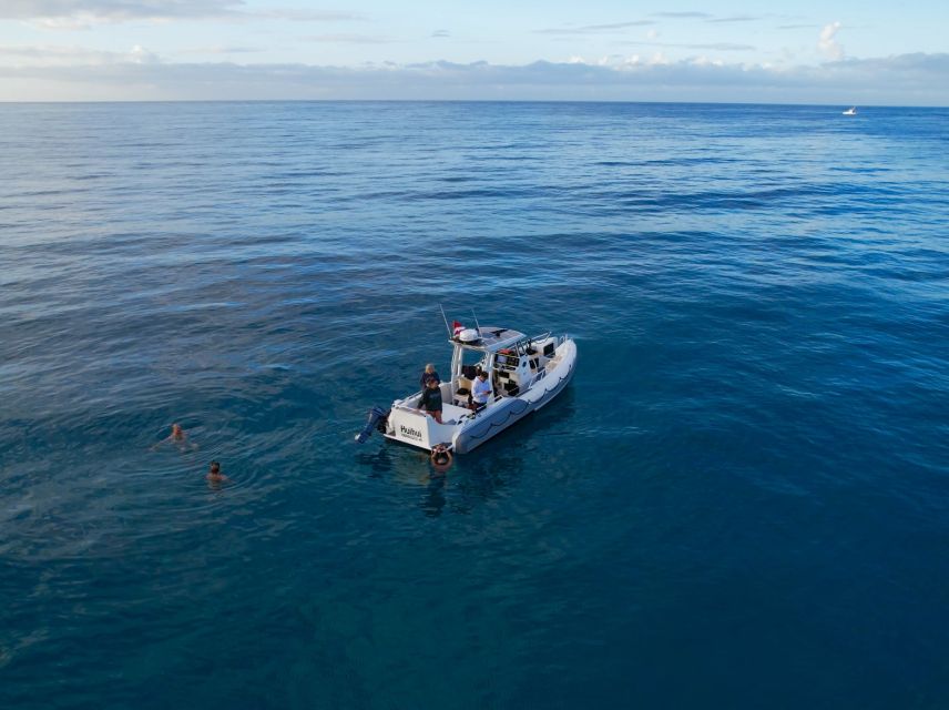 From Waikiki: Turtle Canyons Snorkeling Tour - Booking and Cancellation