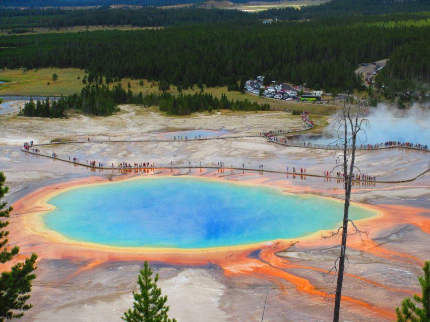 From West Yellowstone: Lower Loop Active Van Tour - Excluded From the Tour