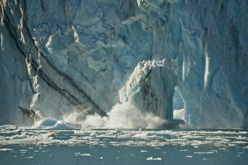 From Whittier/Anchorage: Prince William Sound Glacier Cruise - Pricing and Booking