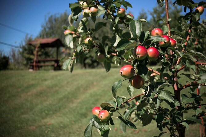 Fruit Alcohol Tasting + Velvet Orchards Audio Tour - About Velvet Orchards