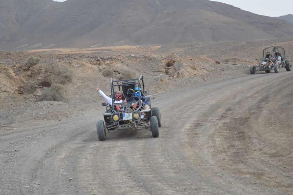 Fuerteventura: Jandía Natural Park & The Puertito Buggy Tour - Comprehensive Itinerary