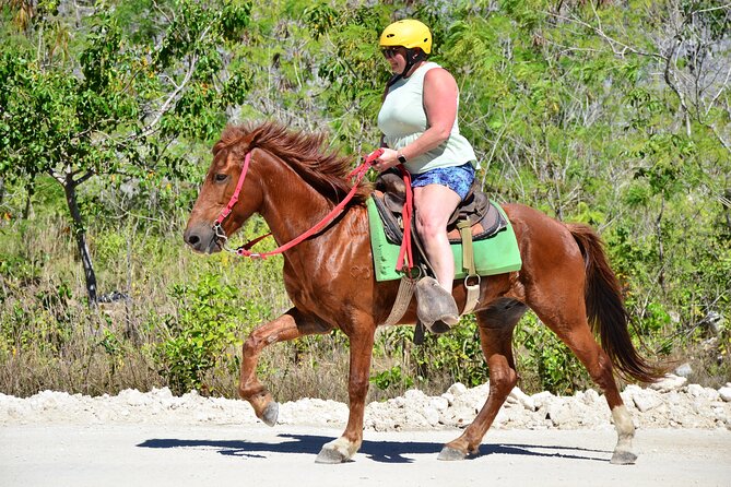 Full Access To Bavaro Adventure Park - With Buggys & Lunch - Exclusions From the Package