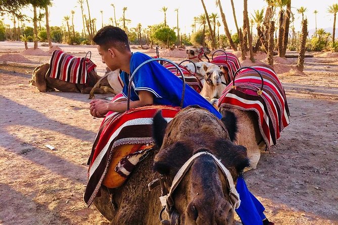 Full-day Agafay Desert and Atlas Mountain Tour - Lunch and Moroccan Mint Tea