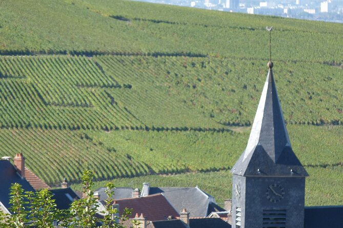 Full Day Champagne Pommery Small Group Tour - Pricing and Booking