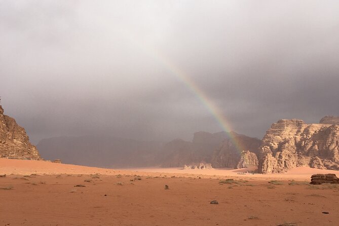 Full-Day Desert Highlights Wadi Rum Jeep Tour - Schedule