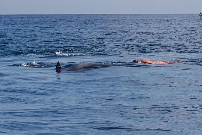 Full-Day Dolphin Watching Cruise in Mauritius - Booking Information