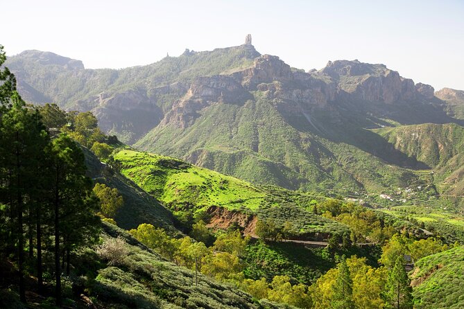 Full-Day Gran Canaria Tour With Teror, Tejeda and Lunch in Fataga - Logistics and Accessibility