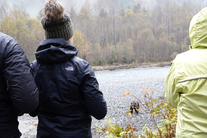 Full Day Grizzly Bear Tour to Bute Inlet - Wildlife Viewing Opportunities