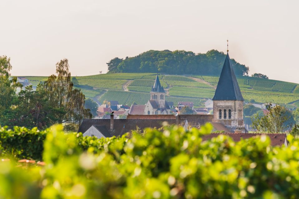 Full Day Pommery Small Group Tour - Hautvillers Abbey and Wine Tasting