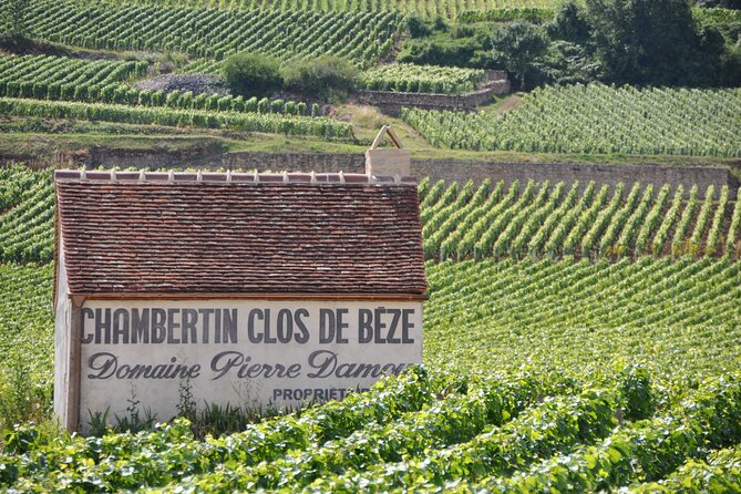 Full-Day Private Tour, 6 Premier and Grand Cru Wines, The Best of Burgundy - Tour Details