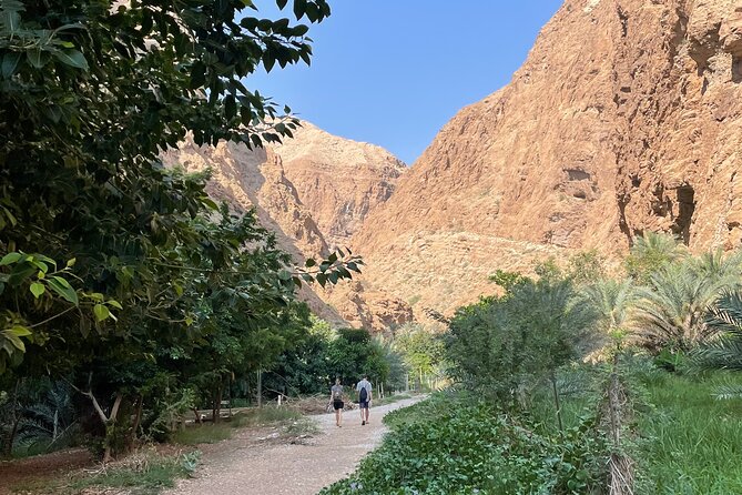 Full Day Private Tour to Wadi Shab and Bimmah Sinkhole - Customer Reviews and Feedback